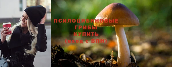 метамфетамин Сатка