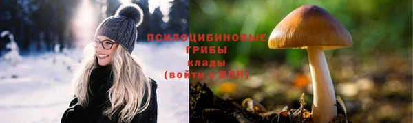 мяу мяу мука Абдулино