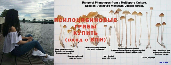 ешки Сафоново