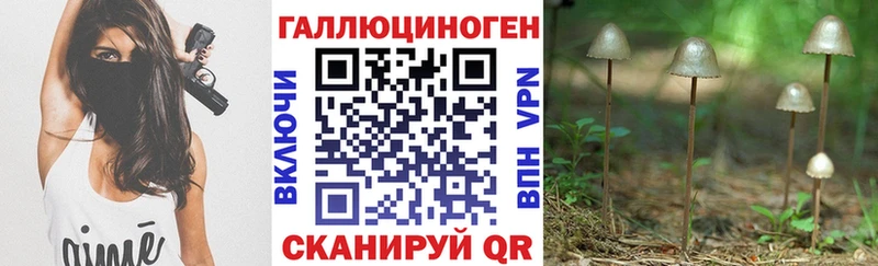 сколько стоит  Остров  Псилоцибиновые грибы GOLDEN TEACHER 